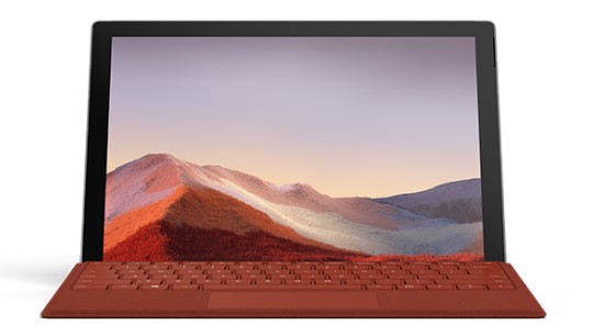 鹤峰清洁和维护 Surface